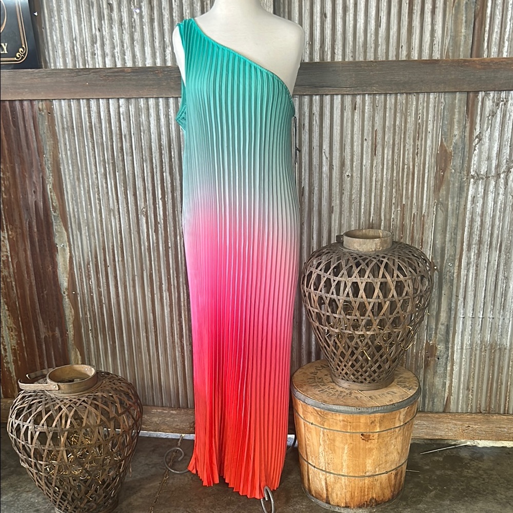 Nicole Miller Gradient One-Shoulder Maxi Dress NWT